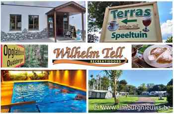 In Limburg: Camping en zwembad Wilhelm Tell in Limburg (5 juli 2022) - Limburgnieuws.be