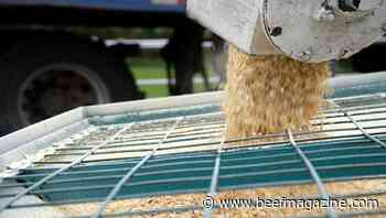FDA finalizes FSMA animal feed guidance