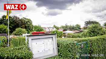 Kleingärtner in Essen drängen auf Flächen für neue Parzellen - WAZ News