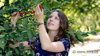Kirschen essen und darauf Wasser trinken? Kein Problem - hna.de