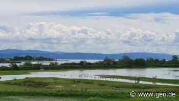 Sonne genießen und gut essen: Adria: Renaissance an der Lagune von Grado - GEO.de