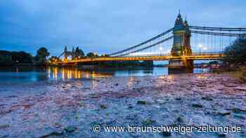 London: Riesige Abfall-Insel aus Feuchttüchern in der Themse