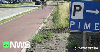 Nieuw fietspad tussen Duffel en Lier is klaar: "Een verademing voor de fietsers" - VRT NWS