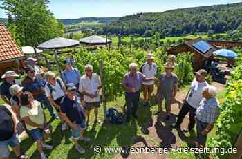 Leonberg - Gute Aussichten für heimischen Wein - Leonberger Kreiszeitung