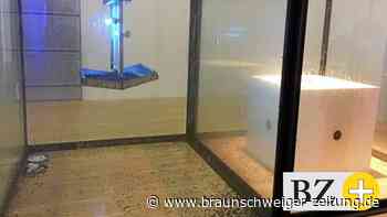 Peta zeigt Wolfsburgs Kunstmuseum an – wegen toter Fliegen