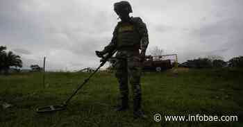 285 municipios están libres de sospecha de contaminación por minas antipersona - Infobae America