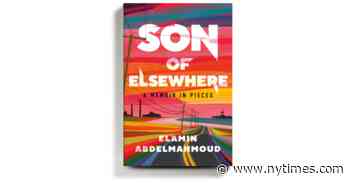 ‘Son of Elsewhere,’ a Funny and Frank Story About Life After a Big Move