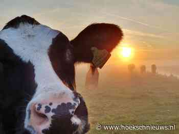 Foto's : Heerlijk wakkker worden in het Oudeland van Strijen - Hoeksche Waard Nieuws