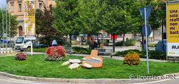 Alba rappresenta l'Italia al concorso “Communities in bloom” - Il Corriere di Alba, Bra, Langhe e Roero