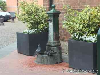 Alba: deficit idrico nella Regione Piemonte, ridurre il consumo ed evitare sprechi - La Nuova Provincia - Asti