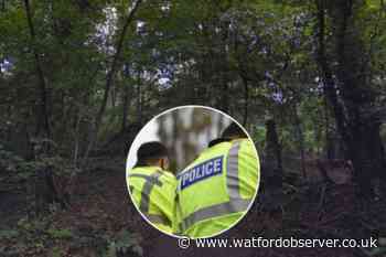 Knifepoint Whippendell Wood robbers still at large