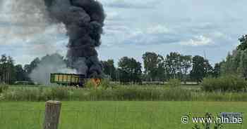 Tractor vliegt in brand op weiland | Essen | hln.be - Het Laatste Nieuws