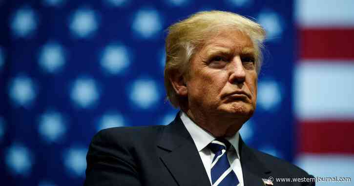 Trump Demolishes Jan. 6 Star Cassidy Hutchinson with Withering Statement on Her Leaked Text Messages