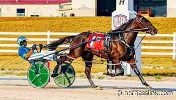 Three-year-olds throw down in $200000 Oak Grove stakes card - Harnesslink