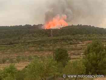 Estabilizado el incendio forestal declarado en Aras de los Olmos tras el impacto de un rayo - Noticias CV