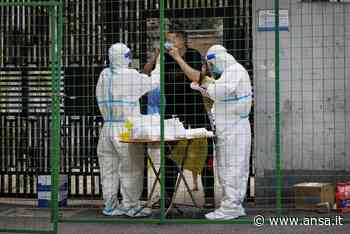 Covid: Cina, a Xi'an test massa e stop ad attività pubbliche - Agenzia ANSA