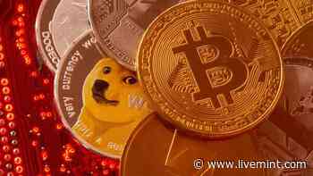 Cryptocurrency prices today: Bitcoin, ether plunge while dogecoin, Shiba Inu rise | Mint - Mint