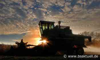 Asbach-Bäumenheim: Mähdrescher prallt bei Hamlar gegen Baum - BSAktuell