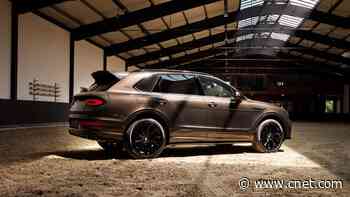 The Bentley Bentayga Belgian Equestrian Edition Is Inspired by Show Jumping     - CNET