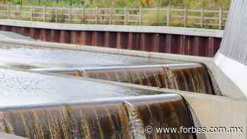Conagua exhibe a empresas con concesiones de agua en Monterrey - Forbes México