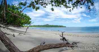 Da Playa Conchal à Praia de Porto Santo: Veja quais são as 15 melhores praias do mundo de 2022 - SAPO Brasil