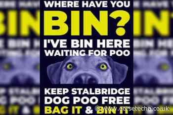 Dorset councillor backs campaign to tackle dog-fouling in Stalbridge - Dorset Echo