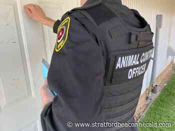 PAW holding dog tag enforcement campaign in Chatham-Kent - Stratford Beacon-Herald