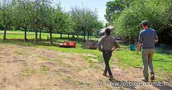 Lorient - Ceinture verte à Lorient : des fermes clés en main pour donner un coup de pouce aux maraîchers - Le Télégramme