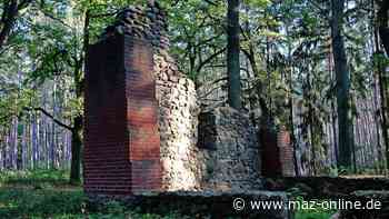 Radtour durch Fläming: Rundkurs um Bad Belzig, über Wiesenburg, Görzke und Hagelberg - Märkische Allgemeine Zeitung