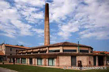 Tornano gli “Aperitivi letterari” alla biblioteca La Fornace - Cronache Ancona