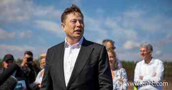 Elon Musk Reportedly Had Twins With One of His Executives     - CNET