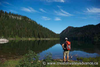 Call for West Kootenay anglers to help with research project - Creston Valley Advance