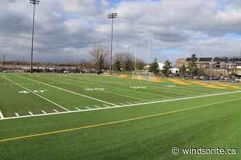 St. Clair College Athletic Association Sells Football Team To College - windsoriteDOTca News