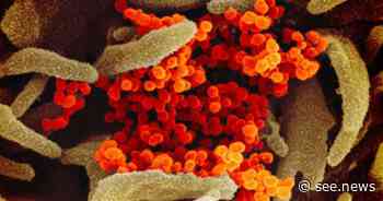 Coronavirus Cases Worldwide Exceed 551 Mln - See