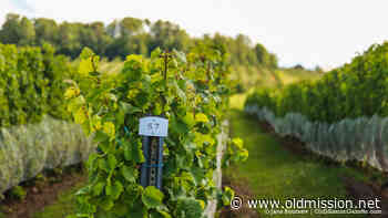 Opinion: Renewed Leadership and Resolve in Peninsula Township - Old Mission Gazette