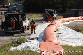 Fraser River flood risk in Mission decreases; city packs up Tiger Dam – Mission City Record - Mission City Record