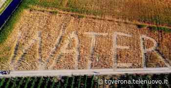 L'ultima opera di Gambarin per chiedere la tutela dell'acqua - TG Verona