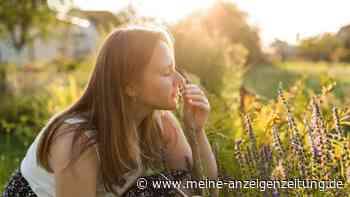 Ein Garten für die Nase