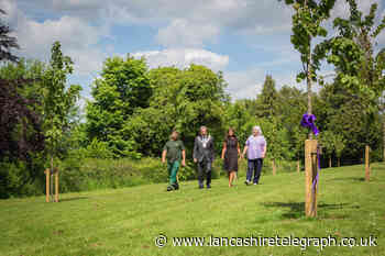 Ribble Valley parks get tree features for Platinum Jubilee