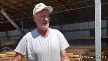 Calgary aid worker helps build tiny homes for war displaced Ukrainians - CBC.ca