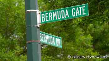 Calgary man faces 25 charges after fleeing in stolen vehicle | CTV News - CTV News Calgary