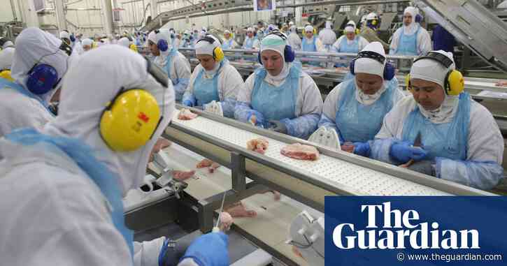 Brazil’s meat plants could be putting pregnant workers at risk, say health experts