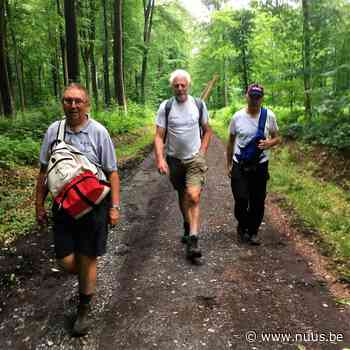 De eerste post-corona zomertocht van wandelclub CSC LIERDE vzw werd een onverwacht succes. - NUUS