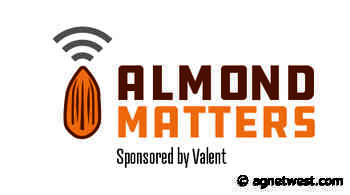 Almond Matters: Pest Management Considerations at Hull Split - AgNet West