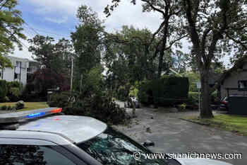 Oak Bay police issue 2 liquor tickets on quiet Canada Day - Saanich News