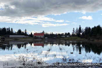 Speed reduction just one part of solution, rural Saanich group says – Saanich News - Saanich News