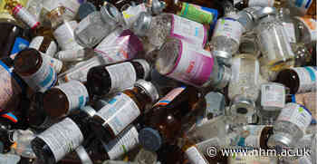 Drug pollution is threatening the water quality of the world's rivers - The Natural History Museum