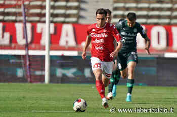 QdP - Bari, ritocchi sulla linea mediana - La Bari Calcio