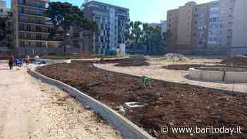 Aree per fitness e parkour, punto ristoro e nuovi alberi: prende forma il parco dell'ex gasometro - BariToday