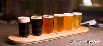 Falstaff Bier Trophy 2022: Best of Kreativbier